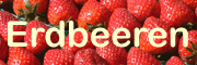 Erdbeeren selber pflücken 